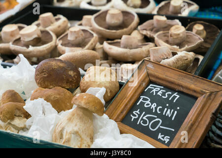 Cèpes en vente sur un marché de l'Australie Banque D'Images