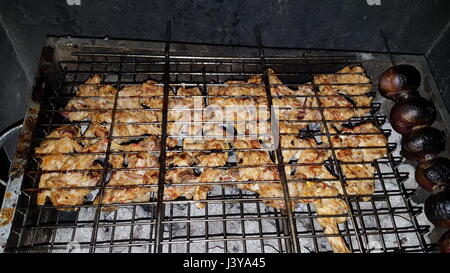 Barbecue poulet iranienne avec l'oignon et plutôt froid dans le parc Banque D'Images