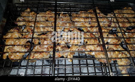 Barbecue poulet iranienne avec l'oignon et plutôt froid dans le parc Banque D'Images