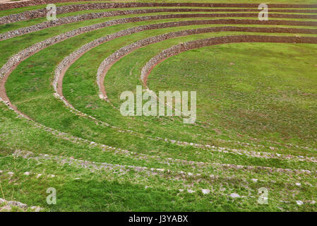 Ancien rond vert terrasses inca de pierres close-up Banque D'Images