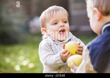 Deux tout-petits garçons jouant avec des pommes dans le jardin Banque D'Images