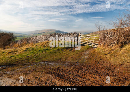 Conistone Nord Yorkshire Paysage à la recherche de l'autre côté de la vallée vers Wharfe Kettlewell. Banque D'Images