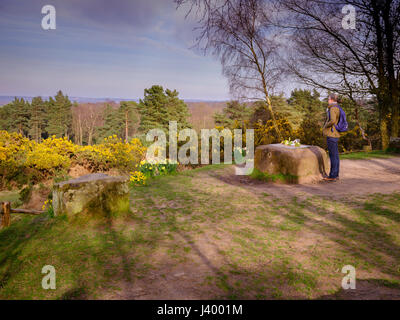 Gill's Lap sur Ashdown Forest où une pierre commoration est placé pour Milneand AA pour l'EH Shepard histoire de Winnie l'ourson. 26/03/17 Banque D'Images