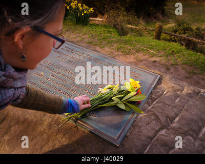 Gill's Lap sur Ashdown Forest où une pierre commoration est placé pour Milneand AA pour l'EH Shepard histoire de Winnie l'ourson. 26/03/17 Banque D'Images