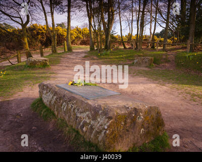 Gill's Lap sur Ashdown Forest où une pierre commoration est placé pour Milneand AA pour l'EH Shepard histoire de Winnie l'ourson. 26/03/17 Banque D'Images