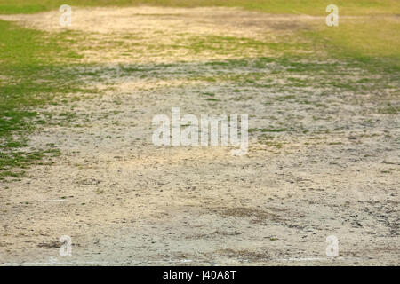 Terrain de cricket vide Banque D'Images