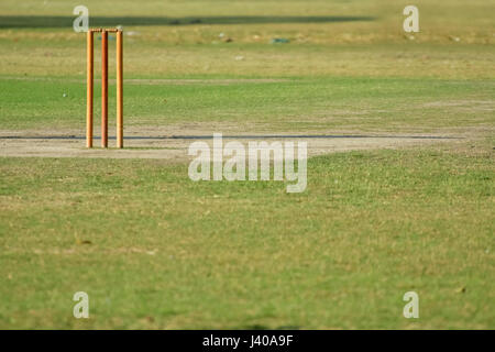 Terrain de cricket vide Banque D'Images