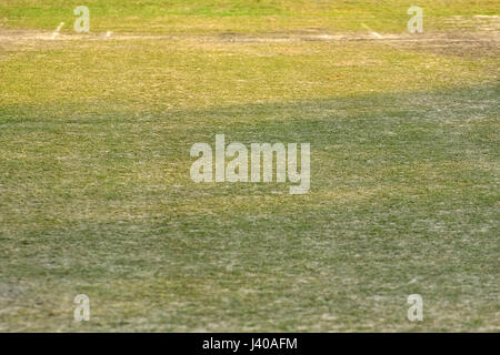 Terrain de cricket vide Banque D'Images