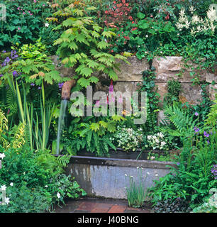 Détail d'un jardin avec un approvisionnement en eau de décoration florale Banque D'Images