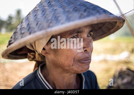 Portrait d'une femme agent de terrain du riz à la vallée de Harau, Sumatra, Indonésie. Banque D'Images