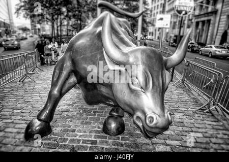 Wall Street bull sculpture , noir et blanc , Manhattan, New York City Banque D'Images