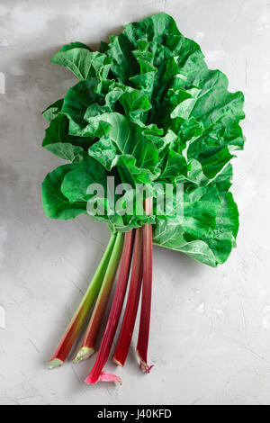 Tiges de rhubarbe fraîche bio avec des feuilles sur fond noir en béton gris Banque D'Images