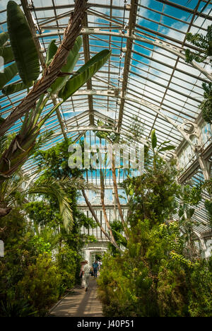 Maison de l'ère victorienne tempérées - fonte - serre de Kew Gardens, Londres Banque D'Images