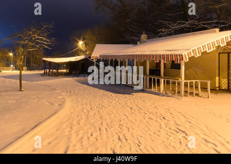 Chemin couvert de neige éclairé par des lumières de rue dans la nuit Banque D'Images