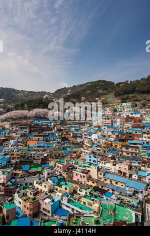 Vue sur les maisons aux couleurs vives dans Gamcheon Culture Village, Busan Gwangyeoksi, Corée du Sud Banque D'Images