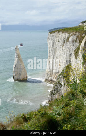 Les Pinnacles, une série de piles de la mer de craie au large de la côte du Dorset à Studland Banque D'Images