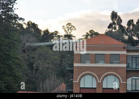 Fédération loterie walkway parc Kings Perth Australie Banque D'Images