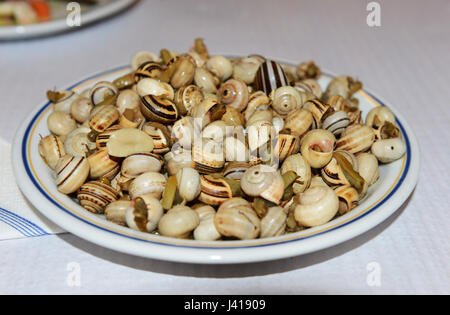 Caracois - Portugais plat escargot. Banque D'Images