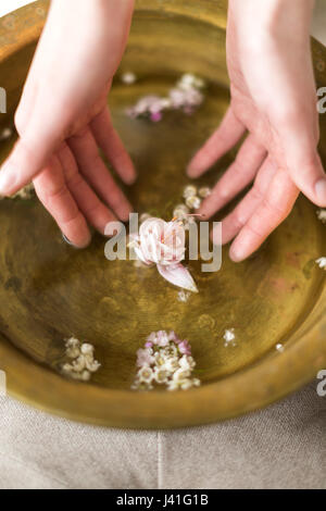 Mains de la jeune fille effleurer la belle fleur rose doucement flotter dans l'eau dans un vase vintage. Le Spa intérieur, des bacs pour mains Banque D'Images