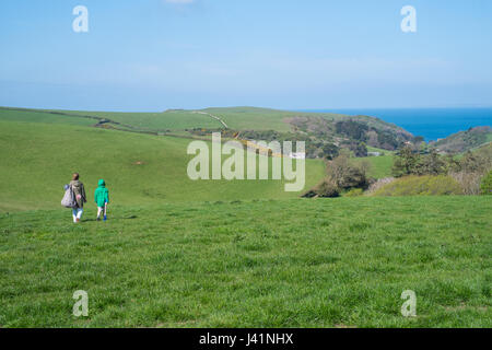 L'espoir des terres agricoles à Barton vers Hope Cove, Kingsbridge, dans le sud du Devon, Angleterre, Royaume-Uni. Banque D'Images