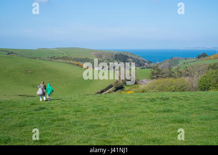 L'espoir des terres agricoles à Barton vers Hope Cove, Kingsbridge, dans le sud du Devon, Angleterre, Royaume-Uni. Banque D'Images