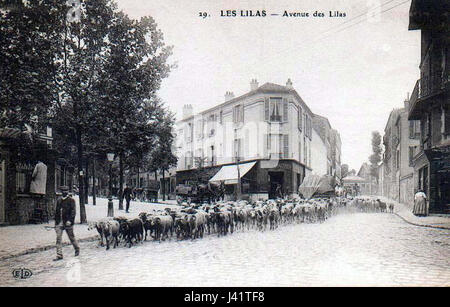 Les Lilas est une commune de la banlieue nord-est de Paris, située le long de l'avenue des Lilas. Il est connu pour son caractère résidentiel et sa proximité avec la culture et l'histoire parisiennes. Banque D'Images
