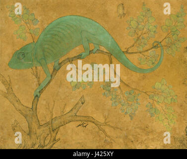 Cette peinture intitulée *Un caméléon* de Mansur, créée en 1612, fait partie de la collection royale du château de Windsor, mettant en valeur l'attention méticuleuse de l'artiste aux sujets animaux. Banque D'Images