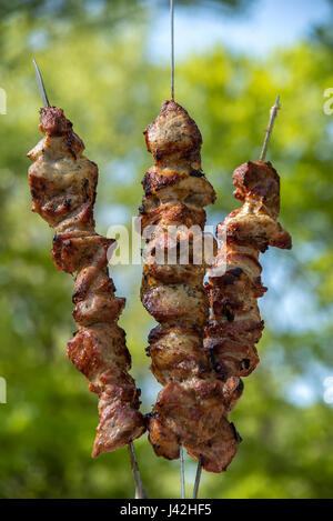 La viande des brochettes grillées sur l'herbe et charbons Banque D'Images