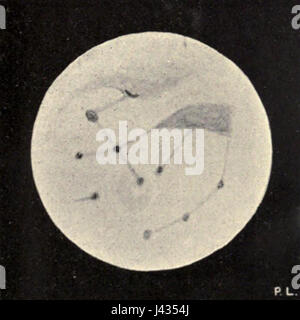 Le titre fait référence à une plaque tirée d'une publication de 1896 de Lowell mars, probablement une œuvre scientifique ou artistique, la plaque 26 figure 3 étant une image ou un diagramme spécifique de la publication. Banque D'Images