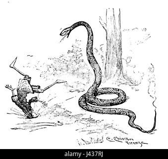 Le avventure di Pinocchio pag129 Banque D'Images