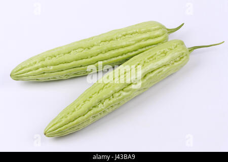 Vis du melon amer chinois (Balsum poire) sur blanc blackground. Banque D'Images