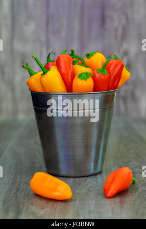Poivrons jaunes rouge dans un seau un assortiment de Poivrons et piments dans un seau en métal avec des gouttelettes d'eau vertical format Banque D'Images