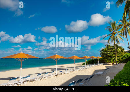 Ligne de parasols et de chaises longues donnant sur la mer des Caraïbes sur Seven Mile Beach, Grand Cayman, Cayman Islands Banque D'Images