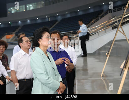 Tianjin, Chine. 8 mai, 2017. Le vice-Premier ministre chinois Liu Yandong visite un gymnase au cours d'une tournée d'inspection des préparatifs de cet été, les sites des Jeux nationaux, à Tianjin, Chine du nord, le 8 mai 2017. Credit : Cao Peut/Xinhua/Alamy Live News Banque D'Images