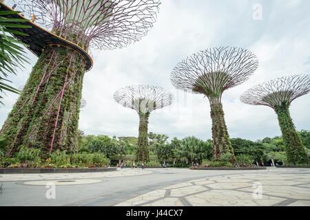 MARINA BAY, SINGAPOUR - Jan 20, 2017 : paysage de jardins par la baie, Supertree grove jour nuageux à Singapour. Banque D'Images