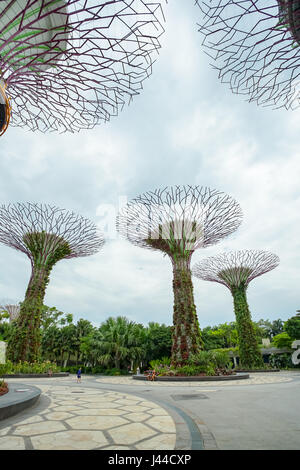 MARINA BAY, SINGAPOUR - Jan 20, 2017 : paysage de jardins par la baie, Supertree grove jour nuageux à Singapour. Banque D'Images