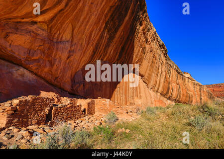 Une paroi rocheuse à l'Arch Canyon ruine, une ruine Ancestral Puebloan dans une alcôve au fond de Arch Canyon dans les Oreilles Ours National Monument (Utah). Banque D'Images