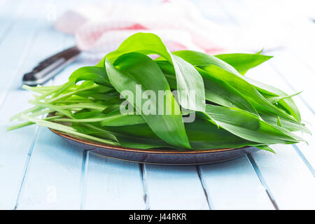 Ramson ou l'ail des feuilles sur la plaque. Banque D'Images
