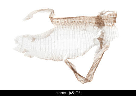 Zootoca vivipara ; Slough de lézard commun Banque D'Images