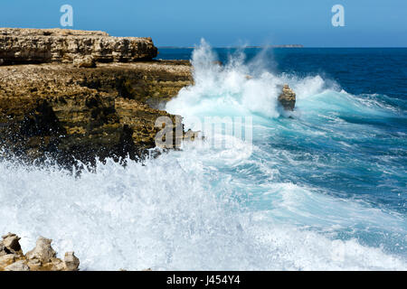 Antigua, Océan Atlantique littoral rocheux avec vagues blanc Banque D'Images