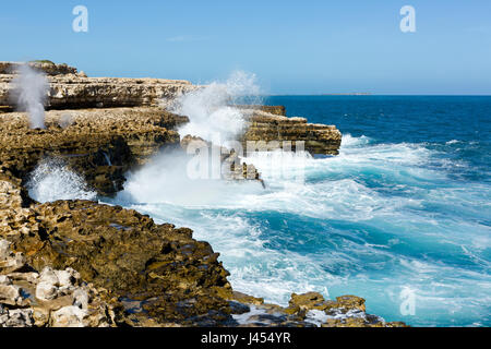 Antigua, Océan Atlantique littoral rocheux avec vagues blanc Banque D'Images