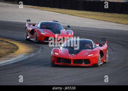 Ferraris course à Daytona International Speedway Banque D'Images