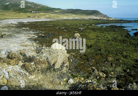 Un rivage rocheux à marée basse sur Bardsey Island, au large de la côte du Pays de Galles, Royaume-Uni. Banque D'Images