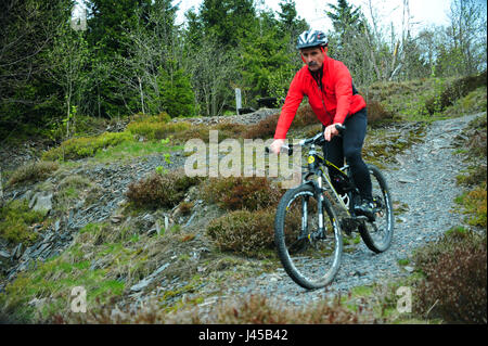 Piste de vtt, forêt de Thuringe, Allemagne Banque D'Images