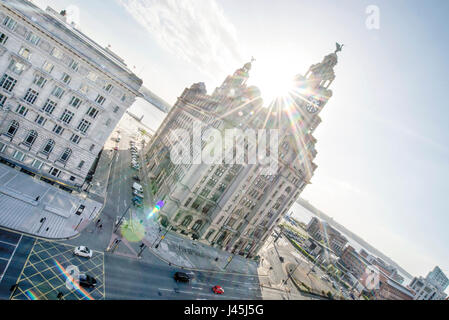 Vue sur le toit, Liver Building à Liverpool Banque D'Images