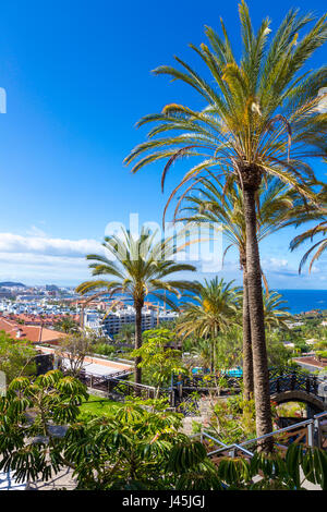 Vue sur les palmiers et l'océan Atlantique à Tenerife, Espagne Banque D'Images