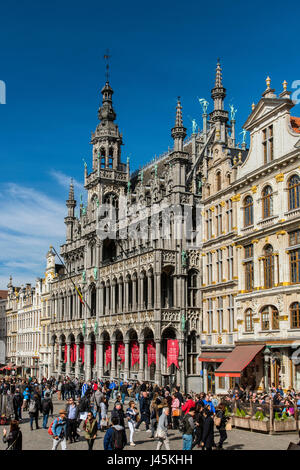 Maison du Roi, Grand Place, Bruxelles, Belgique Banque D'Images