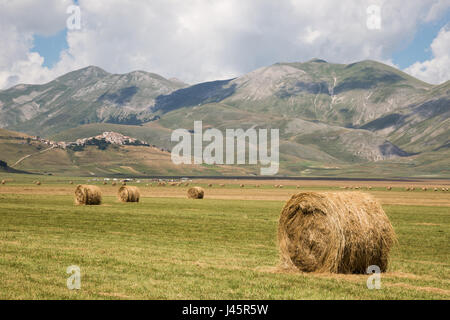 Certains haybales sur Castelluccio di Norcia, champs coltivated avec ciel bleu et nuages blancs, et Vettore mountain et Castelluccio ville dans le backgroun Banque D'Images