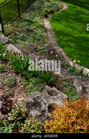 Jardin jardin à côté de la frontière à flanc de pelouse verte et de pierres et roches clôture avec les nouvelles fleurs de printemps Banque D'Images