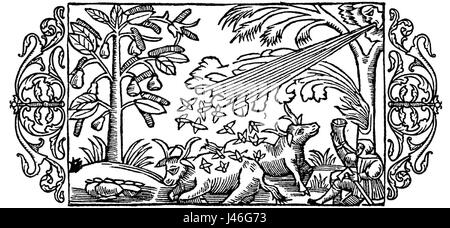 Olaus Magnus était un érudit du XVIe siècle connu pour ses travaux sur les phénomènes naturels. Ses écrits sur les orages et les effets de foudre ont contribué à la compréhension des phénomènes météorologiques de son temps. Banque D'Images